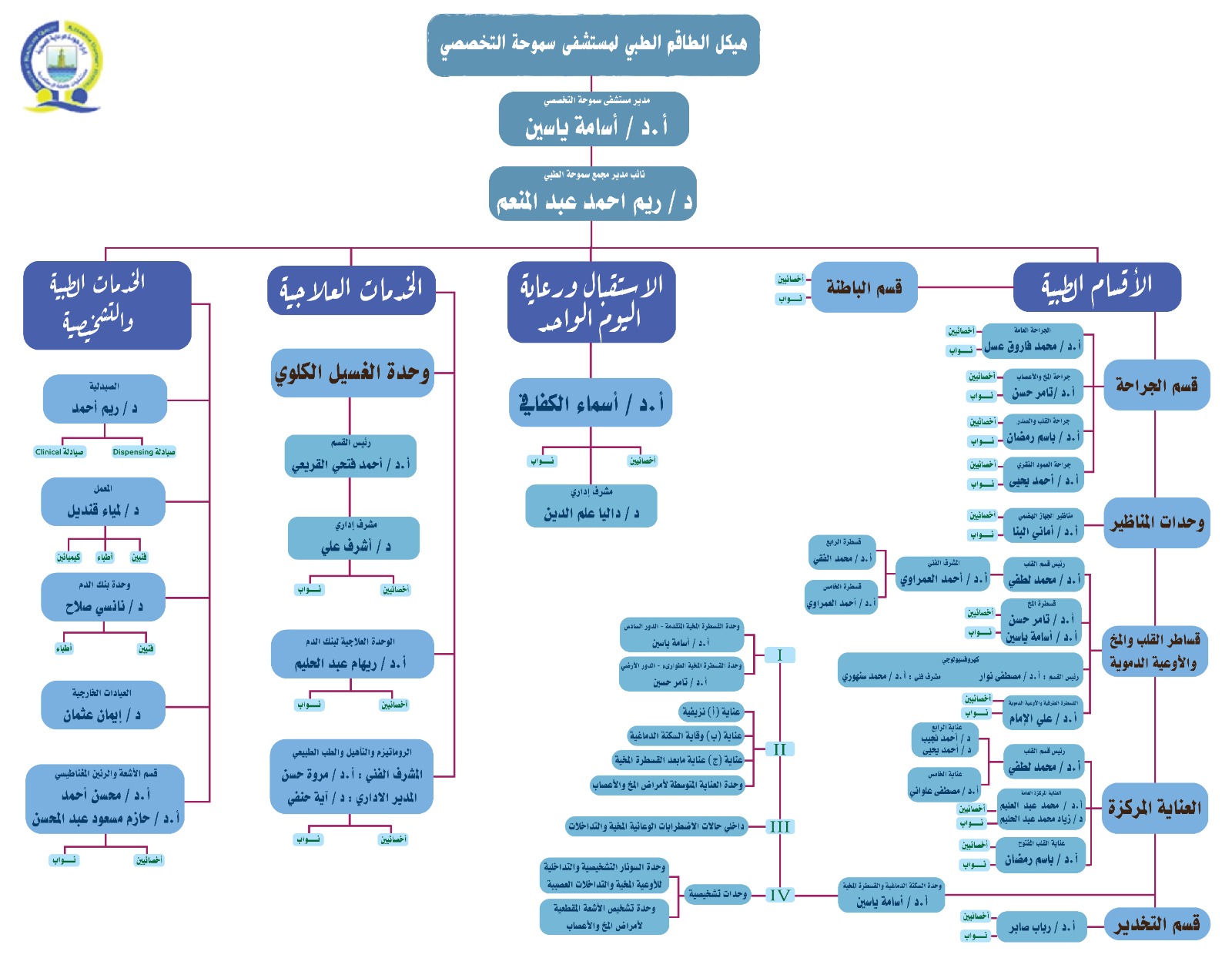 Adult Hospital Organizational Hierarchy
