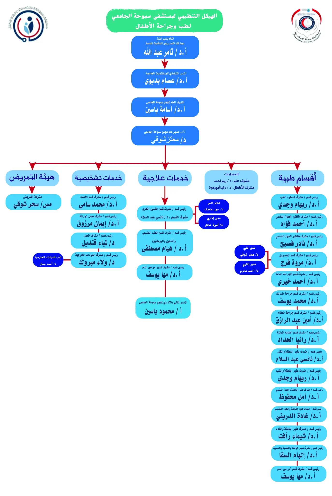 Pediatric Hospital Organizational Hierarchy